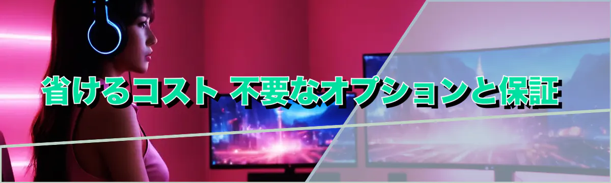 省けるコスト 不要なオプションと保証