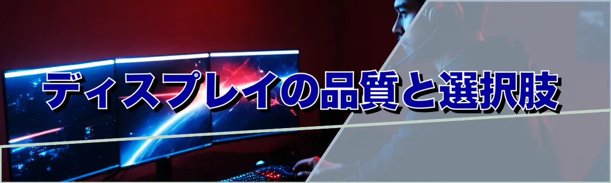 ディスプレイの品質と選択肢